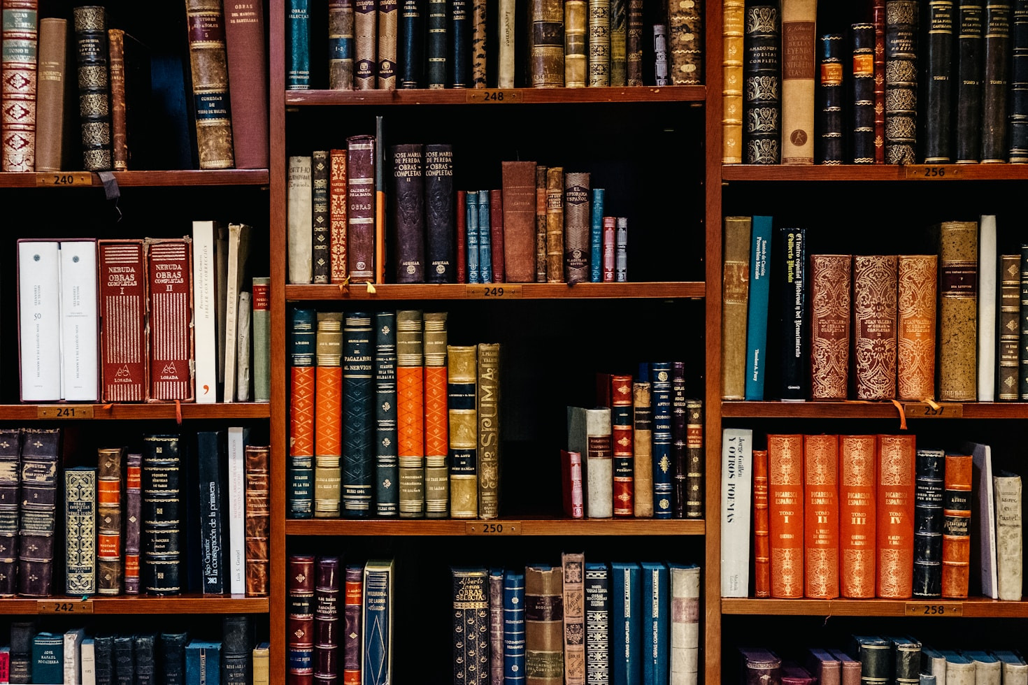 Bücher, die die Seele berühren: Carolina Schutti